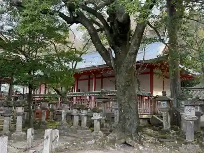 手向山八幡宮(奈良県)