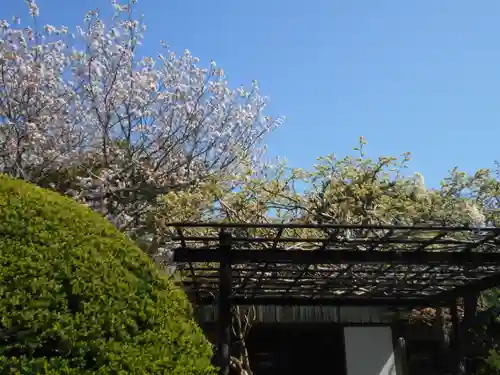 極楽寺（霊鷲山感應院極楽律寺）の自然