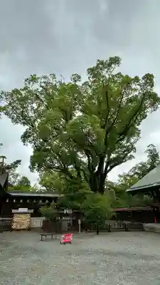 大鳥大社(大阪府)