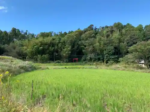 神明神社の景色