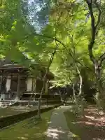 深大寺の{uncategorized: "未分類", other: "その他", undefined: "問題あり", building: "その他建物", grave: "お墓", sacred_gate: "鳥居", guardian: "狛犬", statue: "像", buddha: "仏像", history: "歴史", nature: "自然", garden: "庭園", animal: "動物", pagoda: "塔", temizu: "手水舎", mountain_gate: "山門・神門", sanctuary: "本殿・本堂", subordinate: "末社・摂社", art: "芸術", scenery: "景色", jizo: "地蔵", ema: "絵馬", goshuin: "御朱印", omikuji: "おみくじ", items: "授与品その他", amulet: "お守り", goshuincho: "御朱印帳", eats: "食事", festival: "お祭り", votive_dance: "神楽", shichigosan: "七五三参", wedding: "結婚式", experience: "体験その他", initially: "初詣", around: "周辺", anti_infection: "感染症対策"}