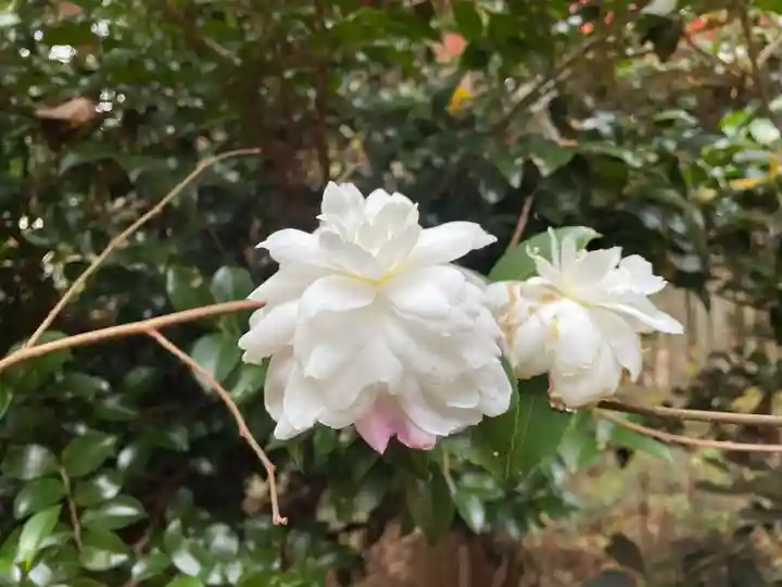 西光寺(宮城県)