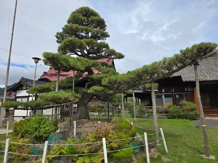 上田大神宮(長野県)