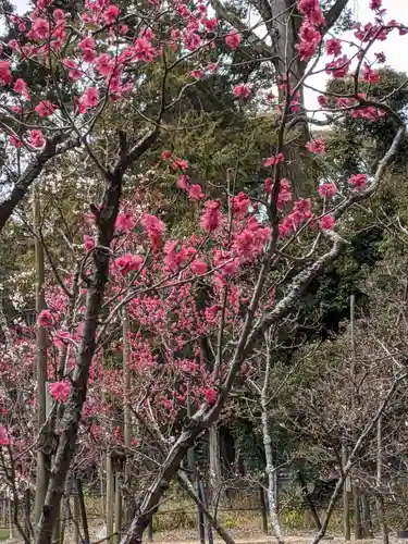 長岡天満宮の自然