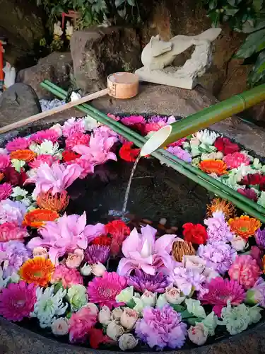 東京羽田 穴守稲荷神社の手水