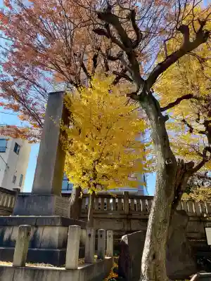 白鬚神社(東京都)