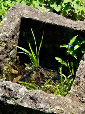 顕海寺(福井県)