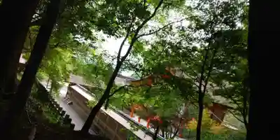 出雲大神宮の本殿・本堂