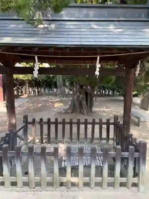 大元 宗忠神社(岡山県)