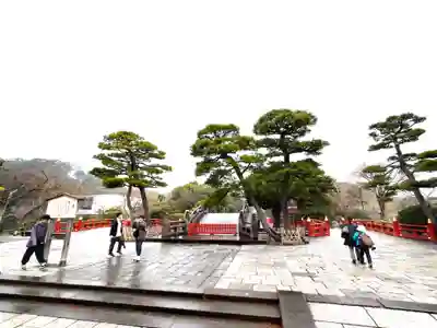 鶴岡八幡宮(神奈川県)