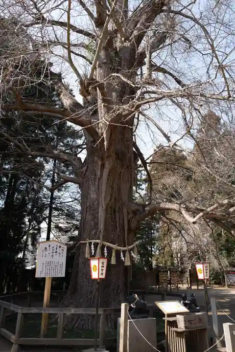 水戸八幡宮(茨城県)