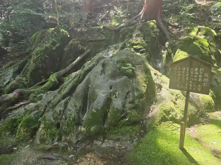 八大龍王社(滋賀県)