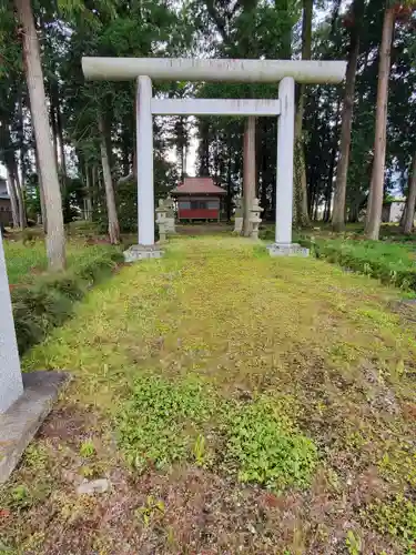 金井神社の鳥居