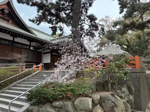 住吉大社の自然