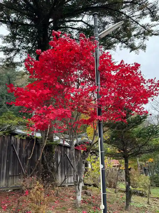 諏訪大社(長野県)