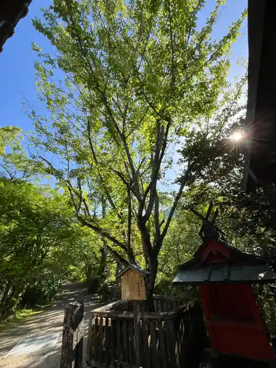 長谷寺(奈良県)