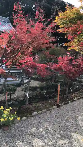 龍田大社(奈良県)