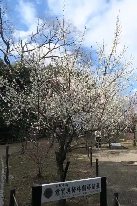 意賀美神社(大阪府)