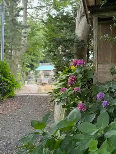 佐波波地祇神社(茨城県)