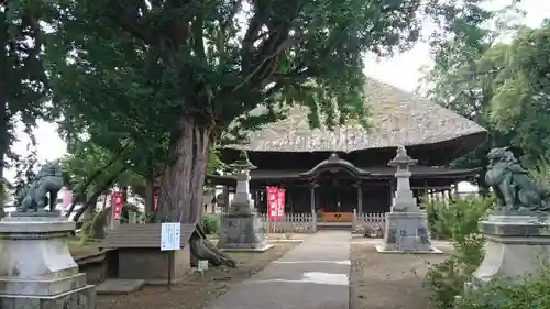 佐竹寺の本殿