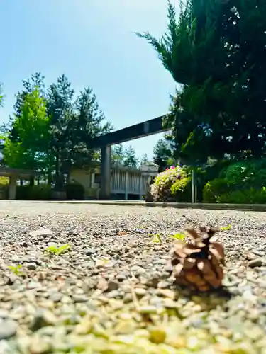 福井神社(福井県)