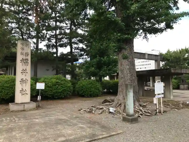 福井神社のその他建物