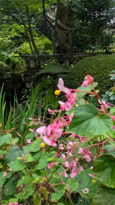 寂光院(京都府)