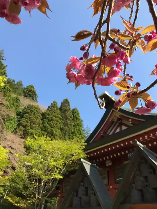 大山阿夫利神社のその他建物