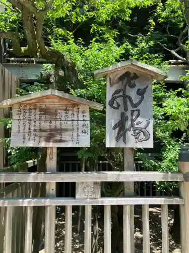 太宰府天満宮の自然