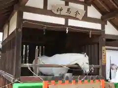 賀茂別雷神社（上賀茂神社）の動物