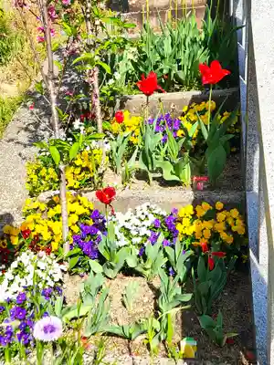 伊和志津神社(兵庫県)