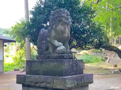 甲波宿禰神社の狛犬