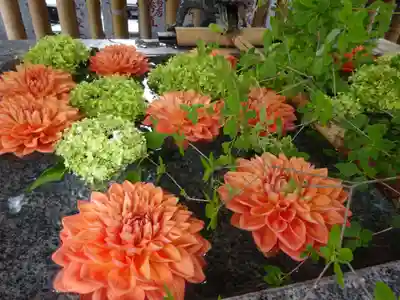 高円寺氷川神社の手水舎