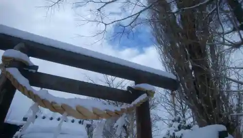 札幌神社の鳥居