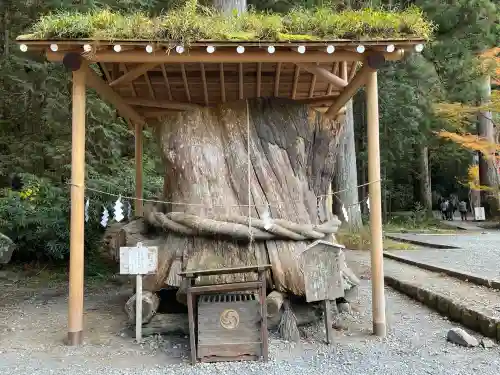小國神社(静岡県)