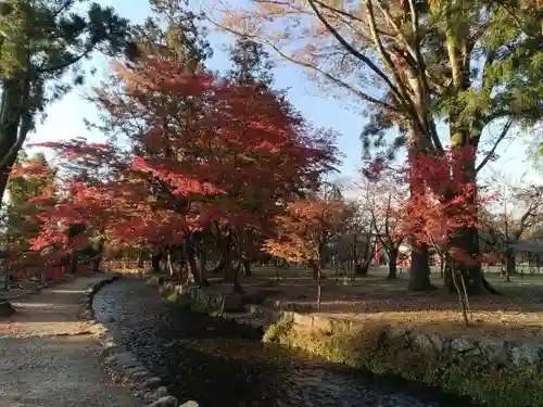 賀茂別雷神社（上賀茂神社）の庭園