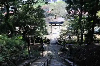 田村神社の鳥居