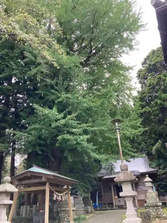 藏皇神社(福島県)