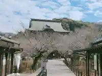 建長寺(神奈川県)