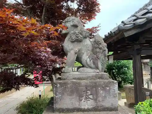 境香取神社の狛犬