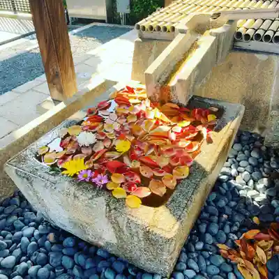 くろ谷 金戒光明寺の手水舎