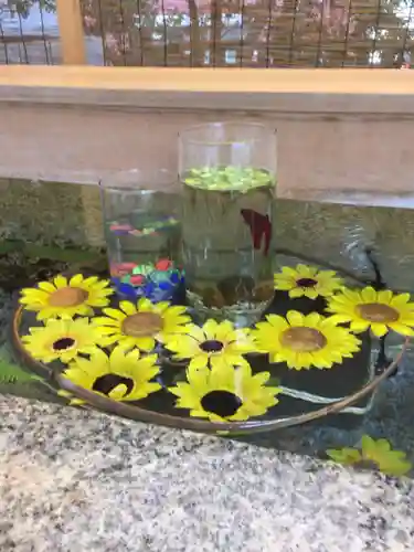 乃木神社の手水舎