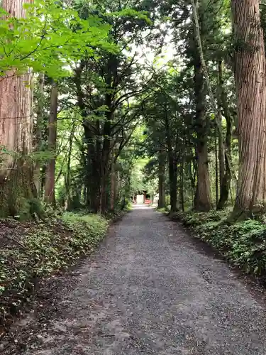 戸隠神社奥社(長野県)