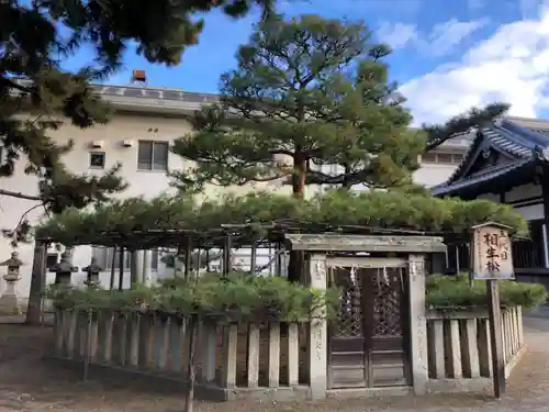 高砂神社の庭園