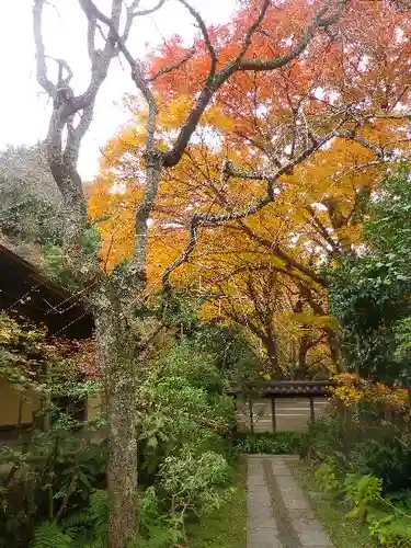 瑞泉寺の庭園