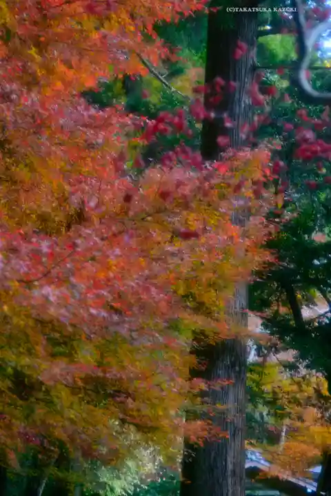 小國神社(静岡県)