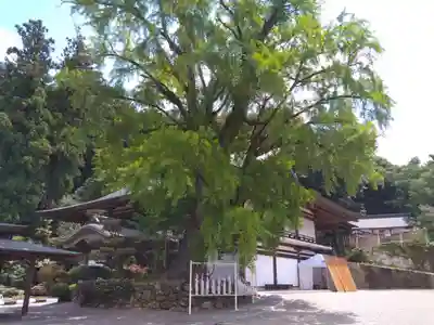 吉備津神社の本殿・本堂