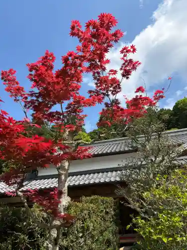 大池寺の{uncategorized: "未分類", other: "その他", undefined: "問題あり", building: "その他建物", grave: "お墓", sacred_gate: "鳥居", guardian: "狛犬", statue: "像", buddha: "仏像", history: "歴史", nature: "自然", garden: "庭園", animal: "動物", pagoda: "塔", temizu: "手水舎", mountain_gate: "山門・神門", sanctuary: "本殿・本堂", subordinate: "末社・摂社", art: "芸術", scenery: "景色", jizo: "地蔵", ema: "絵馬", goshuin: "御朱印", omikuji: "おみくじ", items: "授与品その他", amulet: "お守り", goshuincho: "御朱印帳", eats: "食事", festival: "お祭り", votive_dance: "神楽", shichigosan: "七五三参", wedding: "結婚式", experience: "体験その他", initially: "初詣", around: "周辺", anti_infection: "感染症対策"}
