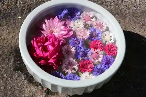 開成山大神宮の手水舎