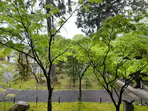 真正極楽寺（真如堂）(京都府)
